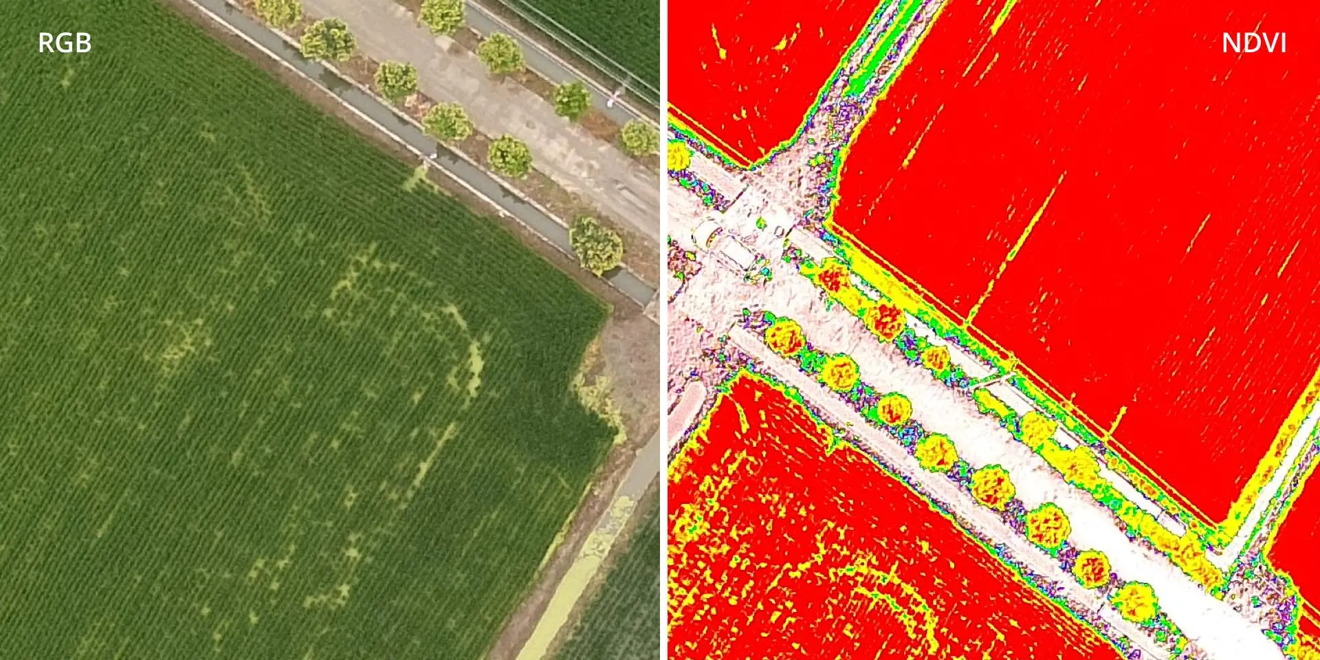 DJI Phantom 4 Multispectral