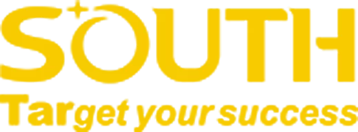 LOGO-southinstrument2