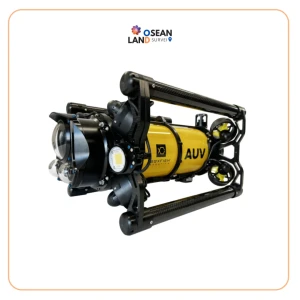 Boxfish AUV